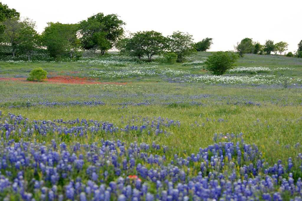Preserve The Prairie – Join Us Today!